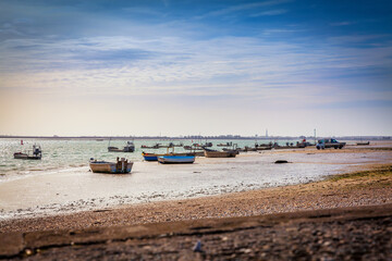 Obraz premium Ré Island, (ile de ré) is an island off the west coast of France near La Rochelle, Charente-Maritime