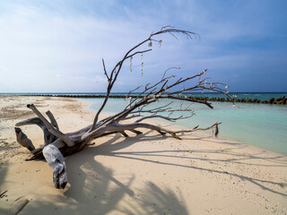 Hotel Complex Kuredu, Laviyani Atoll, Maldives, Indian Ocean, Asia