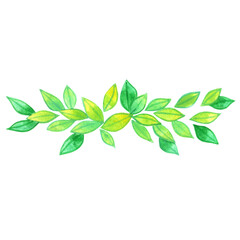 Green leaves border bouquet watercolor for decoration on spring season, organic food, Tea leaf and garden.