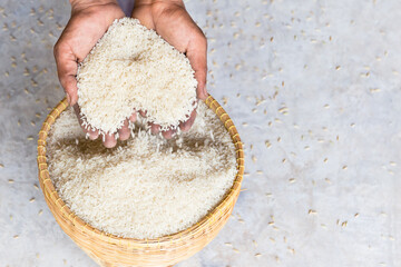 Close up raw jasmine white rice grain in agriculture hand.