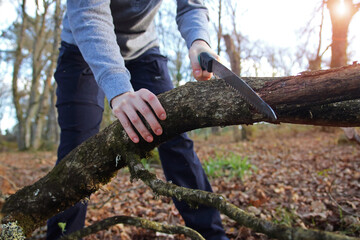 Close up of the hands of a caucasian woman sawing a fallen tree with a hand saw in the forest. Female outdoors collecting wood to start up a fire. Concept of bushcraft and outdoor survival.