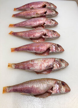 Raw red mullet fillets close-up on white background, High quality photo