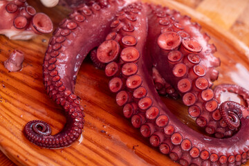 Octopus tentacles cooked a feira style, traditional Galician recipe. Pulpo á feira. Spain.