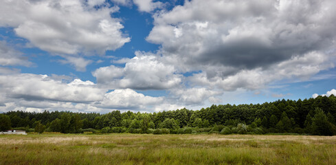 Panoramic photo of dense forest against the sky and meadows. Beautiful landscape of a row of trees and blue sky background