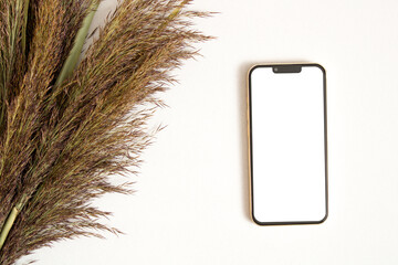 Mobile phone mockup with dry leaves 
