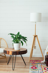 Rattan armchair and floor lamp in living room interior with plants. Cozy interior in boho style. Real photo - 490720961