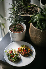 Tasty Sandwich on White Plate in Flower Home
