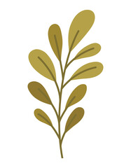 branch leaves design