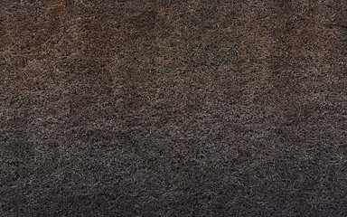 Texture of trimmed blackthorn on the wall of the graduation tower