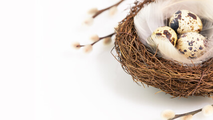 Naklejka na ściany i meble Eggs and feathers in a nest on a white background with willow twigs