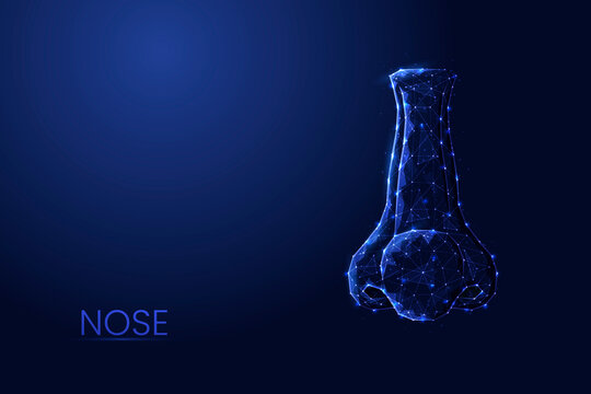 Human nose low poly concept vector illustration.