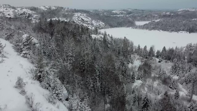 Soaring Through the Snow Covered Trees Lake Dingle Sweden Mountain 4K 30fps