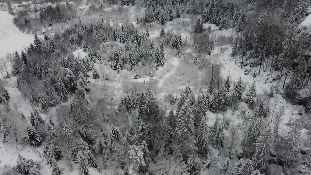 Flying Over Snow Covered Trees Lake Dingle Dam Sweden Mountain 4K 30fps