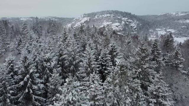 Soaring Snow Covered Mountain Trees Dingle Dam Sweden 4K 30fps