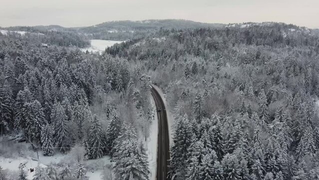 Road 174 Flying Through Snow Trees Dingle Dam Mountain Sweden 4K 30fps