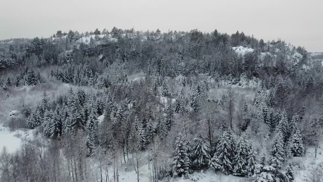 Nearing Snow Covered Forest Line Lake Dingle Mountain Trees Sweden 4K 30fps
