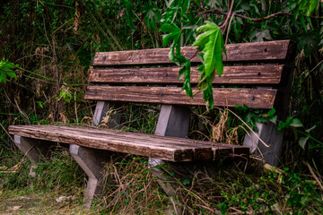 Naklejka premium wooden bench in the garden