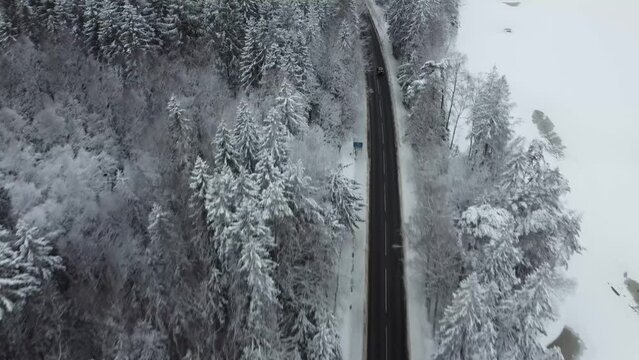 Landrover Cruising Bendy Snow Road 174 Lake Dingle Sweden 4K 30fps