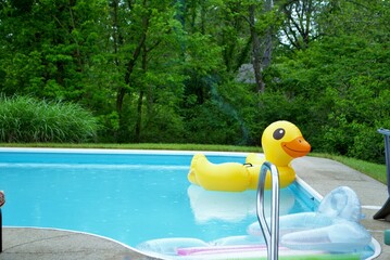 yellow duck inflatable floating in a backyard swimming pool