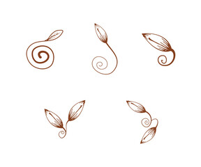 Fototapeta premium Decorative Floral Design Elements, spiral plant, spiral leaf ornament, corner element design, border nature ornament