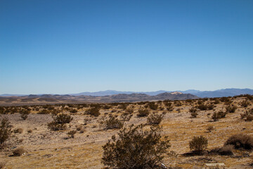 Blick in die Wüste in Nevada. Viel Sand, Berge und wenig Vegetation. Ein wunderschöner Ort.
