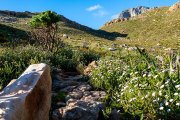 Hiking at Chapman's peak pass.  Beautiful hike leading to the top of the mountains and overlooking...