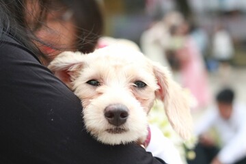 Are you sad or sleepy