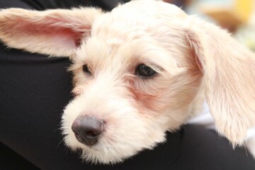 Why are you so sad..