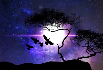 Fototapety na wymiar - Fototapeta24.pl