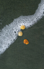Seashell lying on the sand of the beach, half buried in the sand as the the sea wave hits it, and...