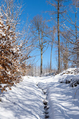 Winterwanderung zum Berg Hrazeny im Boehmischen Niederland