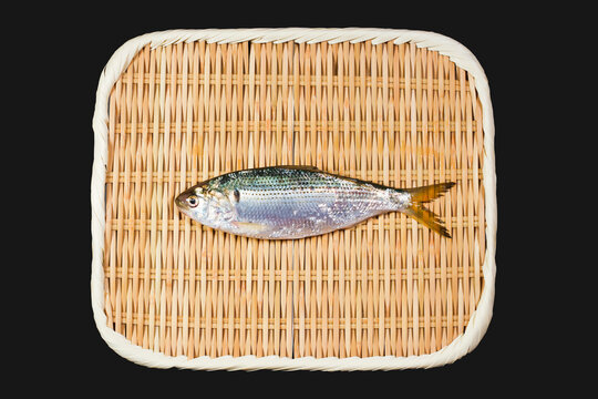 コハダ の画像 539 753 件の Stock 写真 ベクターおよびビデオ Adobe Stock