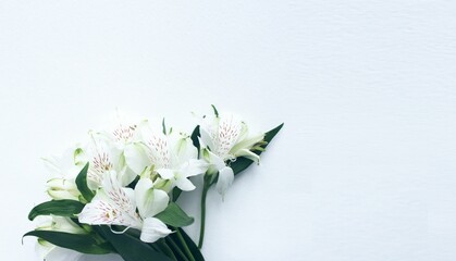 The flowers are white alstroemeria on a white background. A festive delicate bouquet. Background for a greeting card.