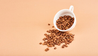 Coffee beans in coffee cup on pastel background. Space fot text