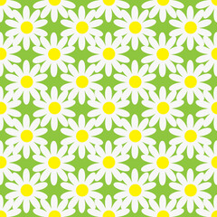 Blooming chamomile on green background, seamless pattern. Illustration