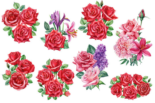Bouquet of roses, lilac, iris and lilies set red flowers on isolated white background, watercolor illustration