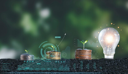 Increasing Value Added Capital Planting Trees With Coins Finance and Investment Diagram Finance and Banking Business Concepts Saving for a Green Bokeh Background Trees that grow on coins are popular.