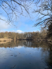 Panketal, Pankow, Brandenburg, Barnim, Wald, Hobrechtsfelde, Frühling, Wanderung, see, Bucher Forst, Bucherforst, Buch, Berlin