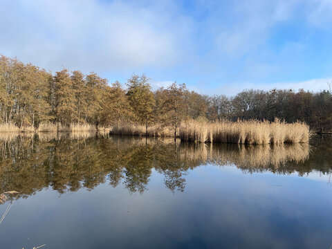 Panketal, Pankow, Brandenburg, Barnim, Wald, Hobrechtsfelde, Fr&uuml;hling, Wanderung, see, Bucher Forst, Bucherforst, Buch, Berlin