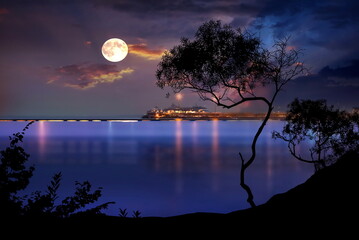 Fototapety na wymiar - Fototapeta24.pl