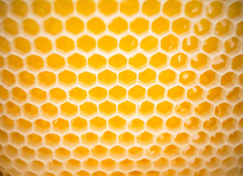 Close up of honeycomb, radial blurred image