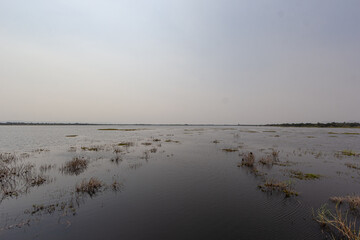A spacious pool with little grass growing on the surface.