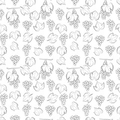 Fruits, berries doodle. Healthy food background. A set of seamless pattern with grapes, vector graphics, 1000x1000.