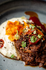 Close appetizing photo of chopped beef and puree