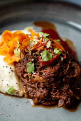 Close appetizing photo of chopped beef and puree