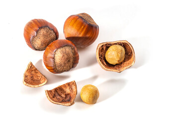 Hazelnuts in the shell. Round filbert, ripe fruit of a Corylus avellana hazel shrubs.