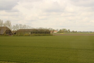 Fototapeta na wymiar Campos de cultivo en las zonas rurales de los paises bajos. Fotografía tomada desde el tren cerca de la isla de Dordrecht.