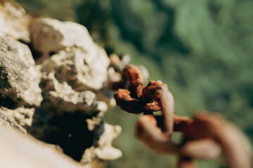 Rusty