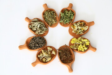 Different herbal teas in the spoon. Daisy, Melissa, Sage, golden grass , yarrow, oregano .
