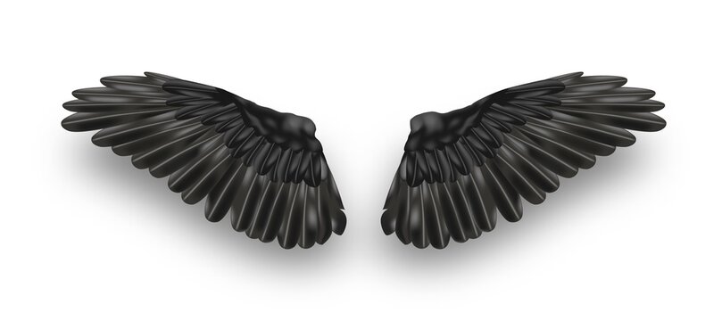 pair of black realistic wings on white background